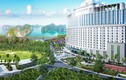 Diamond Invest Holdings - Nguyễn Minh Land - G5 Property phân phối FLC Grand Hotel Hạ Long 