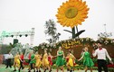 Khai mạc lễ hội hoa kéo dài 1 tháng tại Sun World Halong Complex