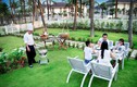 TripAdvisor vinh danh Premier Village Danang Resort là khu nghỉ dưỡng tốt nhất thế giới