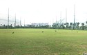 Sân tập Golf Thanh Hà Mường Thanh: Hiện đại và tiêu chuẩn bậc nhất Hà Nội