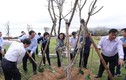110.000 cây xanh được Vinamilk danh tặng cho người dân tỉnh Bình Định