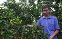 Sơn La: Khánh thành nhà máy chế biến hoa quả tươi 3.500 tỷ 