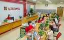 Agribank – khẳng định vai trò chủ lực đầu tư “Tam nông”