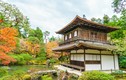 SA5 The Sakura ghi điểm tuyệt đối với thiên đường “Vườn Nhật trên mây”