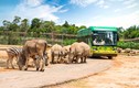 Diệu kỳ hành trình khôn lớn của “hot kid” bé Mây tại Vinpearl Safari Phú Quốc