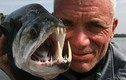 Những “thủy quái ăn thịt người” mà Jeremy Wade bắt được