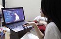 Có gì đặc biệt trong những lớp học livestream “giờ lạ” trên TikTok?