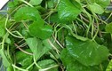 Loại rau cực rẻ giúp thải độc gan