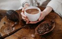 Cacao được ví là “kim cương đen” cực tốt cho sức khỏe