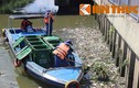 Vì sao cá chết trắng trên kênh Nhiêu Lộc một cách khó hiểu?