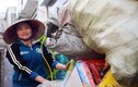 Chị Hồng “ve chai” được đổi 1 triệu Yên tiền rách