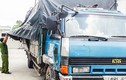 Bắt quả tang xe tải đổ trộm chất thải ở Đồng Nai