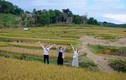 Đến Măng Đen, đừng bỏ lỡ những điểm check-in đẹp mê hồn