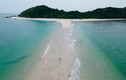Con đường đi bộ giữa biển độc đáo ở Hòn Cá Chép