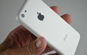 iPhone 5C giá khởi điểm 10 triệu đồng "lộ diện"