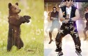 Gấu nhảy... Gangnam Style siêu dễ thương