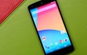 Chiêm ngưỡng Nexus 5 "hàng khủng", giá "bèo"