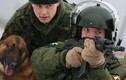Đột nhập trại huấn luyện chó đặc nhiệm Nga