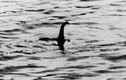 Google vào cuộc tìm quái vật hồ Loch Ness 