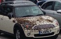 Kinh hãi cảnh nghìn ong tấn công ô tô 