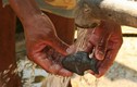 Khám phá chú cá thần kỳ chữa "khối bệnh" cho dân Campuchia