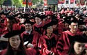 Sinh viên Trung Quốc tại Mỹ và những con số "xấu mặt"