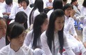Lượng thí sinh thi vào chuyên Toán Lam Sơn giảm mạnh