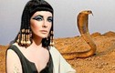 Bí ẩn về loài rắn độc Ai Cập và cái chết của nữ hoàng Cleopatra