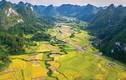 Tỉnh nào có đường biên giới dài nhất Việt Nam?