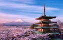 Vì sao người Nhật Bản gọi hoa anh đào là Sakura?