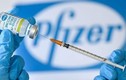 Công ty Donacoop nhập 15 triệu liều vắc xin: Pfizer cảnh báo gì? 