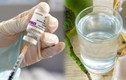 3 loại nước nên uống, 2 loại tránh xa sau tiêm vắc xin COVID-19