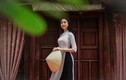 Sắc vóc dàn nữ sinh Học viện Hàng không thi Hoa hậu Việt Nam 2020