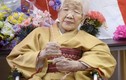 WHO tiết lộ thứ thực sự giúp người Nhật có tuổi thọ cao nhất
