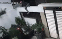 Video: Trộm trèo vào nhà lấy cắp cây cảnh