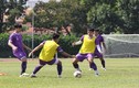 Báo Malaysia: “HLV Park Hang Seo nổi giận vì sân tập bị xem trộm“