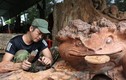 Chàng trai biến rễ cây, thân gỗ  thành tượng điêu khắc nghệ thuật