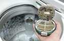 4 bước đơn giản vệ sinh hết cặn bẩn trong máy giặt