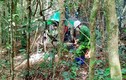 Xác định danh tính 2 cha con tử vong trong rừng Gia Lai