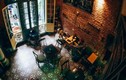 Top quán cafe Hà Nội cổ kính chứa chan nhiều kỷ niệm