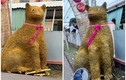 Xuất hiện tượng linh vật mèo lai chuột cực hài ở Tiền Giang