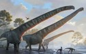 Hóa thạch ở Trung Quốc tiết lộ khủng long có cổ dài 15 mét 