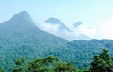 “Xén” đất Vườn quốc gia Tam Đảo làm dự án: Chuyên gia nói gì?