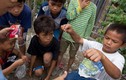 Hứng thú với trò chơi chọi nhện của trẻ em Philippines