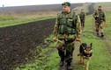 Lính biên phòng Ukraine đào ngũ, trốn sang Nga xin tị nạn