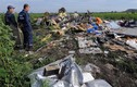 Cựu nghị sĩ Mỹ: Mỹ che giấu sự thật vụ MH17?