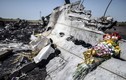 Hạ viện Đức: MH17 bị bắn hạ bởi tên lửa SA-3?