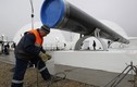 TT Putin: EU cản trở, Nga rút khỏi dự án South Stream