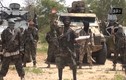 IS chấp thuận lời thề trung thành của Boko Haram
