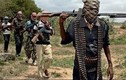 Boko Haram bắt cóc hơn 400 dân thường tại thị trấn Nigeria